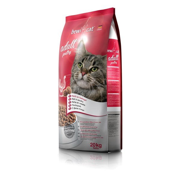 בוויקט עוף - מזון חתולים בוגרים על בסיס עוף