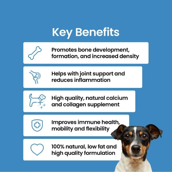 בריליאנט תוסף סידן וקולגן לחיזוק ובריאות המפרקים והעצמות לכלבים- 200 גרם