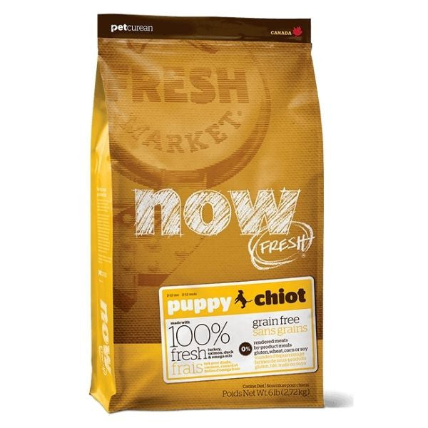 NOW - נאו גורים גזע בינוני 11.4 ק"ג