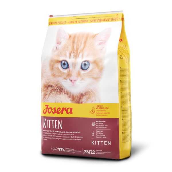 ג'וסרה חתול קיטן גורים - 10 ק"ג