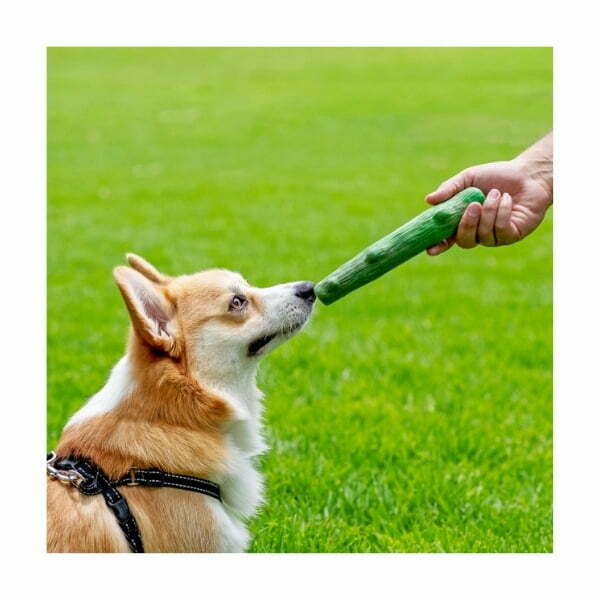 Pet Stages - צעצוע עץ לעיסה כפול לרענון נשימה