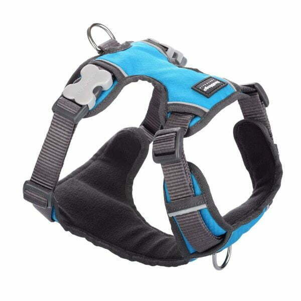 רתמה רד דינגו RedDingo מלאה מרופדת טורקיז