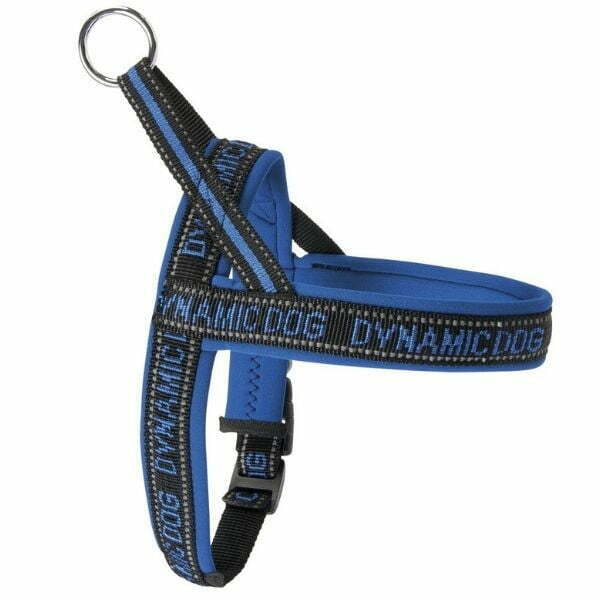 קמון רתמה ניאופרן דינאמיק Camon Dynamic