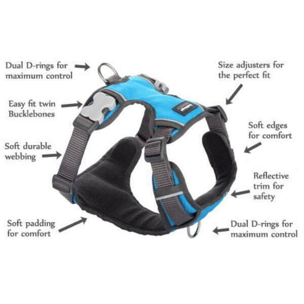 רתמה רד דינגו RedDingo מלאה מרופדת - ורוד