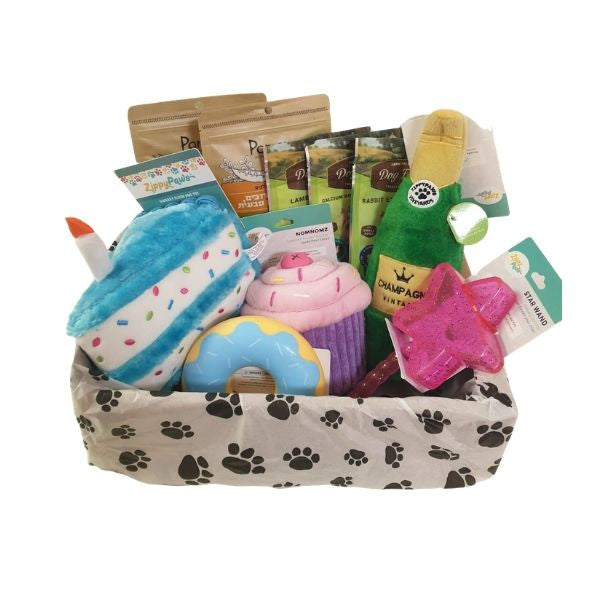 Birthday Box - מארז יום הולדת חגיגי ענק לכלבים
