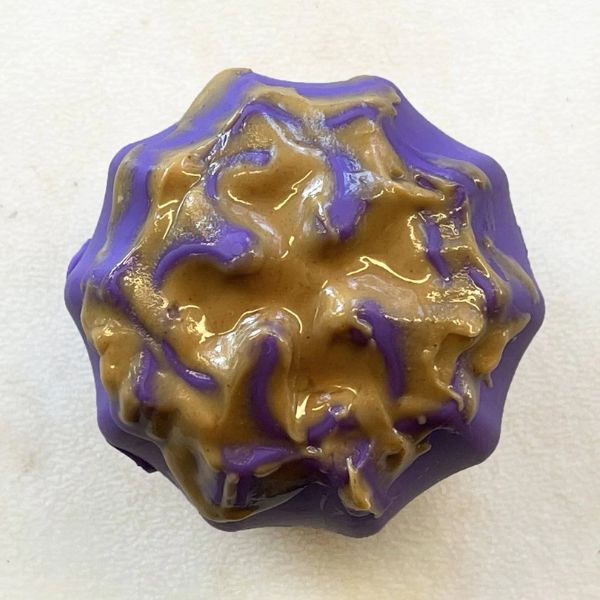 סודה פאפ מחזיק בולי סטיק ועצמות לעיסה