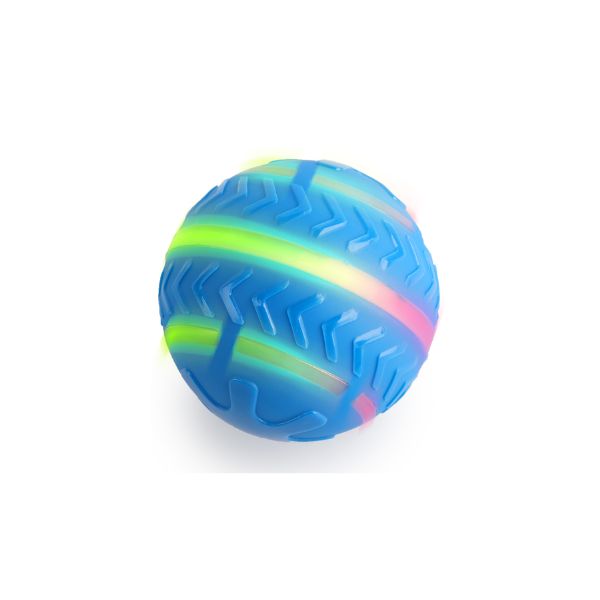 כדור אקשן רץ וקופץ לכלבים AFP