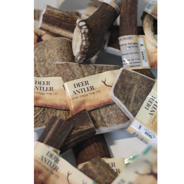 קרן אייל אדום חצויה 100% טבעי - XL