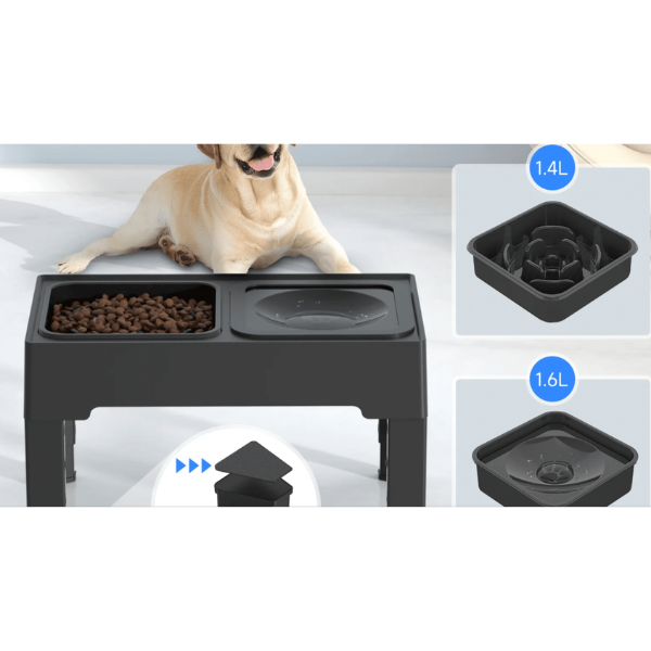מתקן מודולרי קערת האכלה איטית + Anti-Spill לכלבים