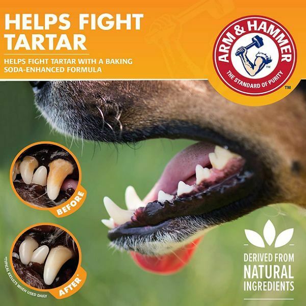 ערכה לשיניים אנזימטית לכלבים עם מברשת מיקרופייבר בטעם וניל ג'ינג'ר A&amp;H