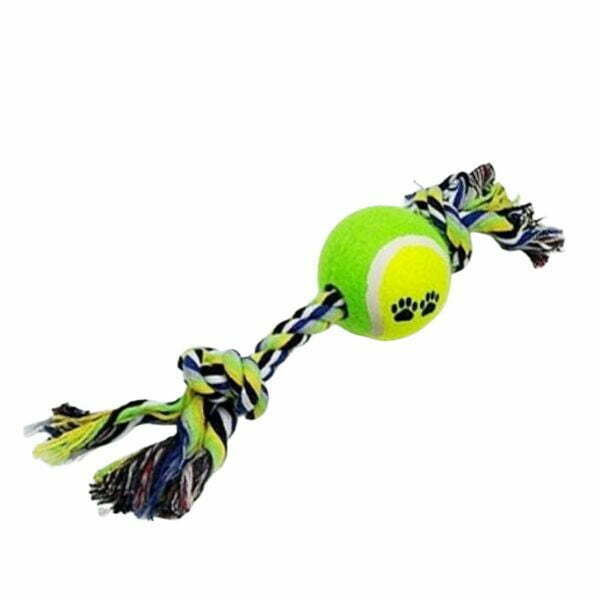 כדור טניס עם חבל קטן