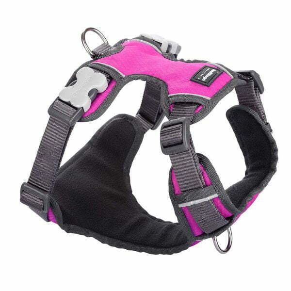 רתמה רד דינגו RedDingo מלאה מרופדת - ורוד