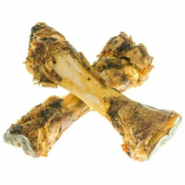 עצם מיני דינו טבעית 30 ס"מ