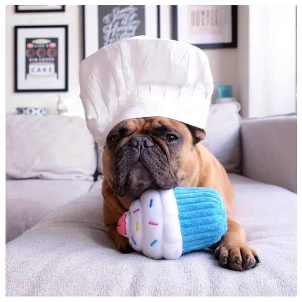 זיפי פוז קאפקייק