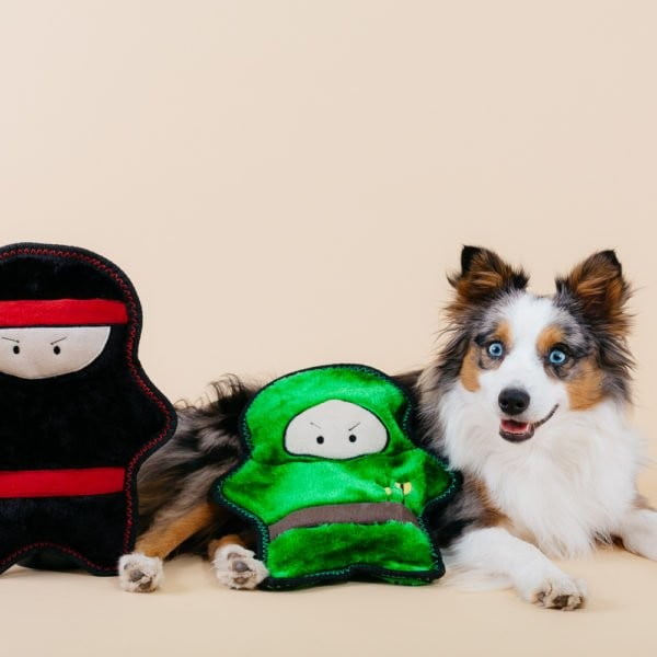 זיפי פוז לוחמים - ארכיבלד הקשת