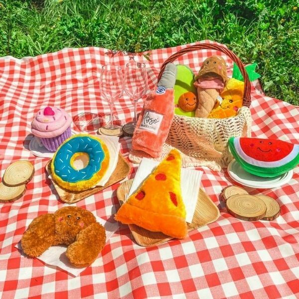 Picnic Box - מארז צעצועים איכותיים לכלבים