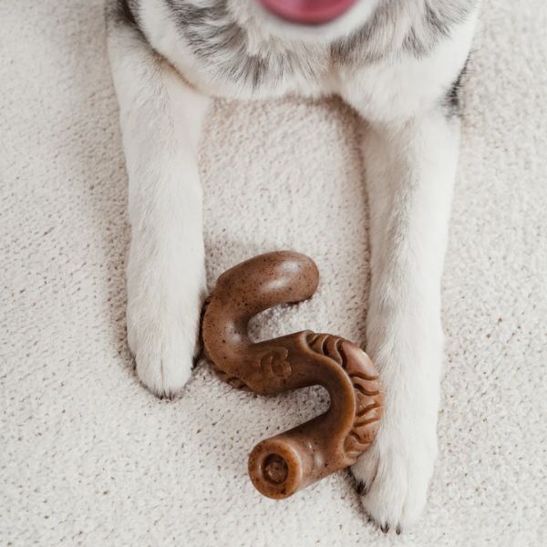 בנבון קירשה צעצוע לעיסה לכלבים - בינוני