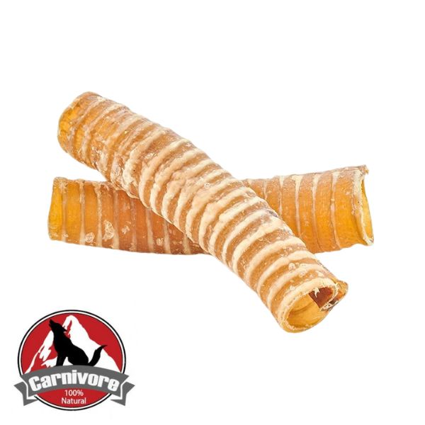 קרניבור קנה נשימה באפולו - 2 יח' באריזה 15 ס"מ