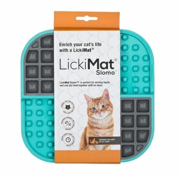 ליקי מט סלומו חתולים טורקיז