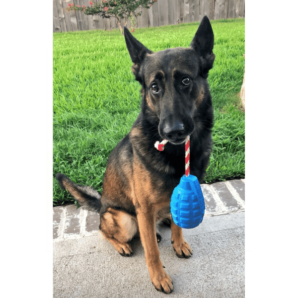 סודה פאפ רימון עם חבל - XL