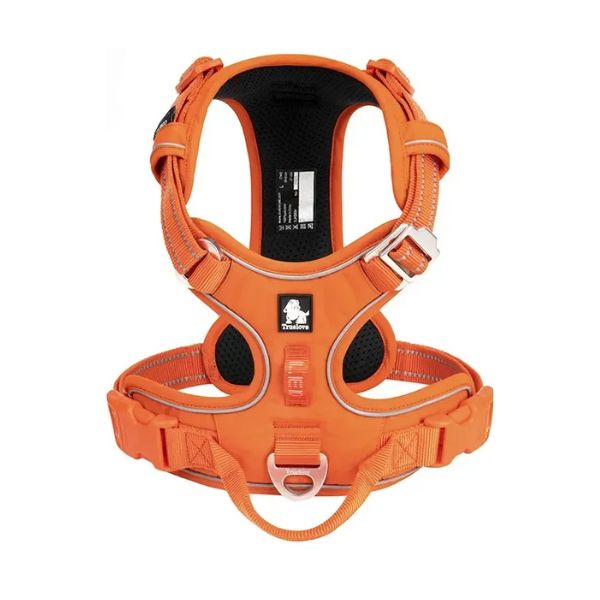 רתמה מלאה מרופדת טרו לאב True Love *דגם משופר* כתום - L