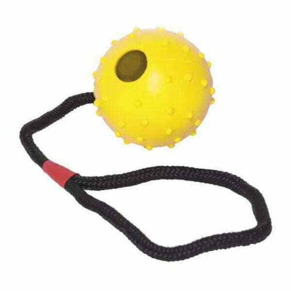 גלוריה פטס כדור קשיח מחוספס עם חבל קטן