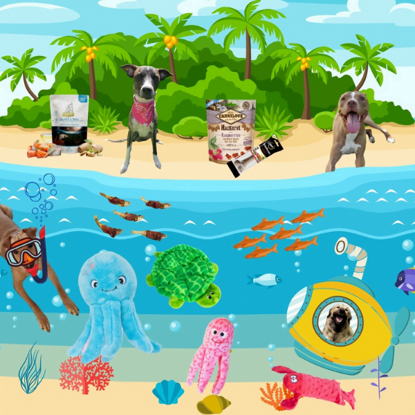 Ocean Kit ערכת אוקיינוס - צעצועים איכותיים לכלבים
