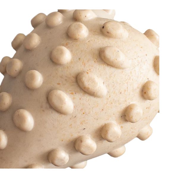 בטר בון Better Bone צעצוע לעיסה לכלבים עוצמה קלה SOFT בטעם בקר - קטן