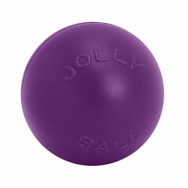 ג'ולי פטס Push n Play - כדור דחיפה ענק