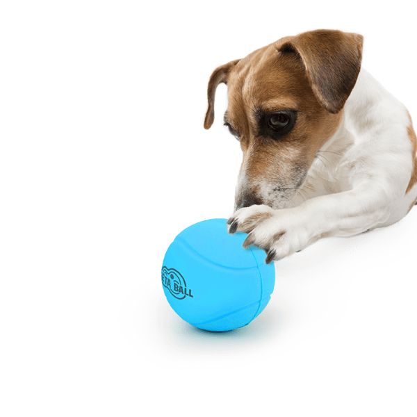 מטא כדור קופצני מרשרש AFP