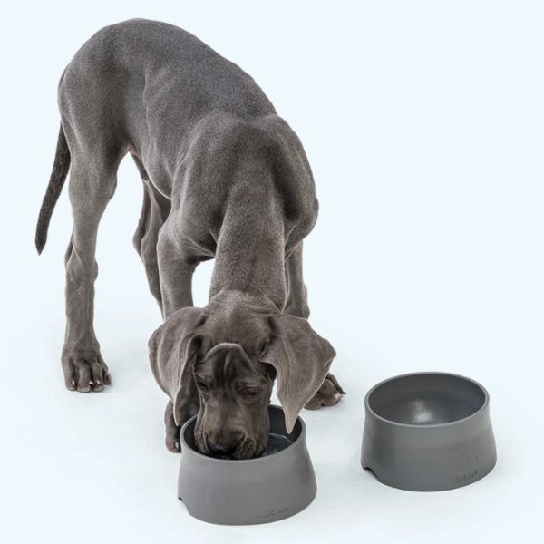 קערת האכלה אקולוגית לכלבים – West Paw Seaflex