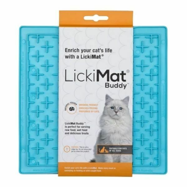 ליקי מט באדי חתולים טורקיז