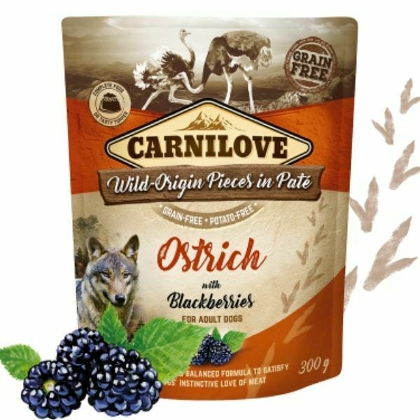 קרנילאב יען ואוכמניות פאוץ' מזון רטוב לכלבים - 300 גרם