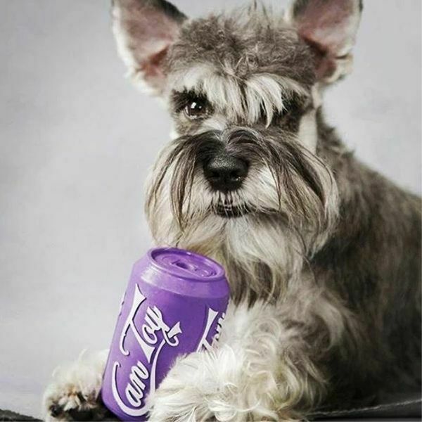 סודה פאפ פחית סגולה