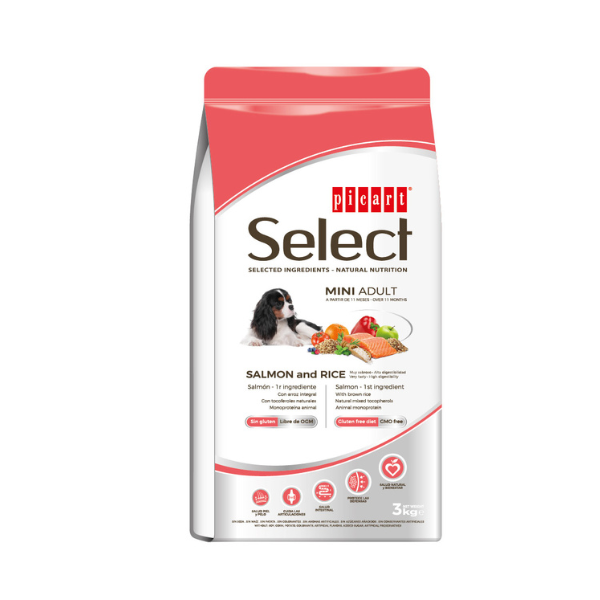 סלקט מיני סלמון גזע קטן - 8 ק"ג