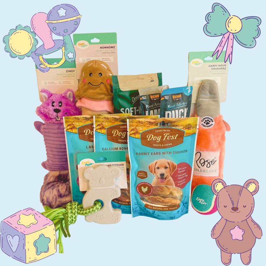 Puppy Kit - ערכת גורים משולב צעצועים וחטיפים