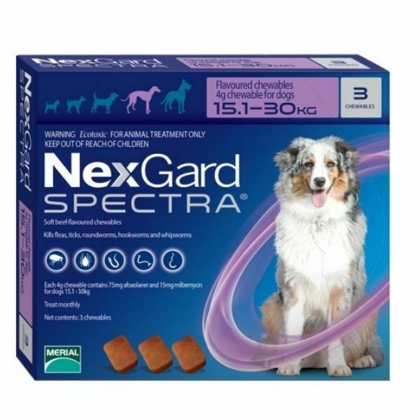 נקסגארד ספקטרה טבליות לעיסה נגד פרעושים וקרציות לכלב