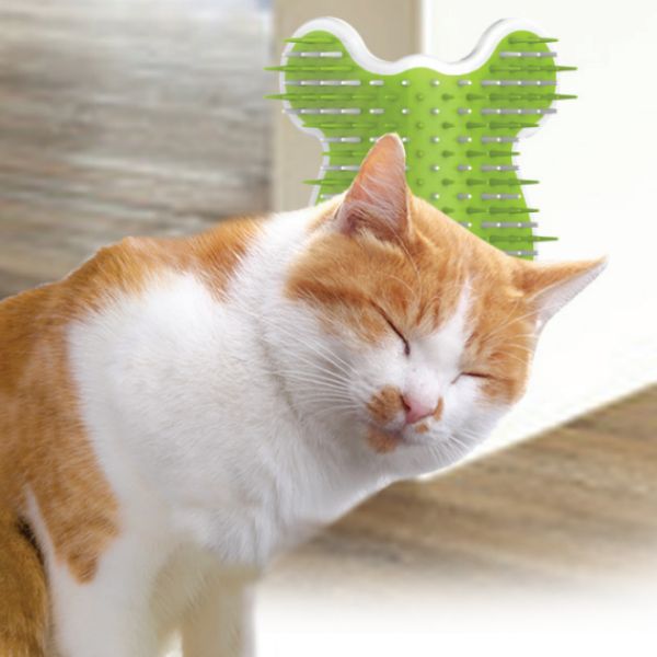 פינת עיסוי וטיפוח לחתולים AFP