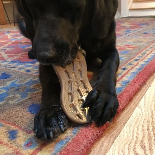 סודה פאפ בוטן ליקוק