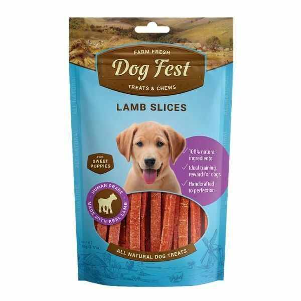 דוג פסט חטיף לגורים רצועות כבש - 90 גרם