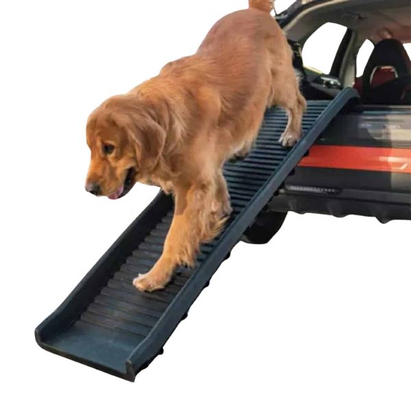 רמפה לכלבים לעלייה וירידה מרכב