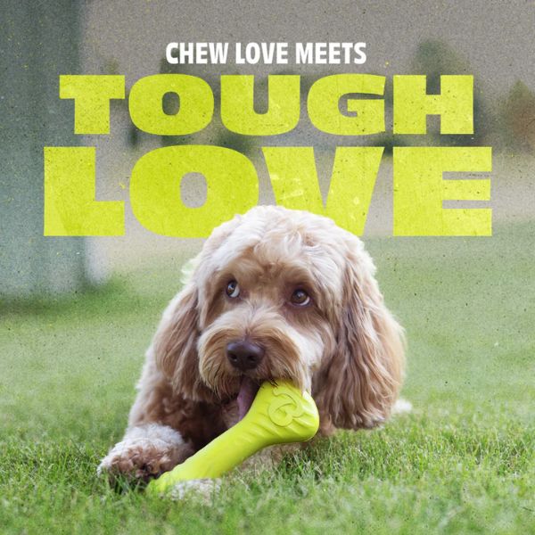 בנבון Bounce Bone עצם נשיכה מגומי טבעי