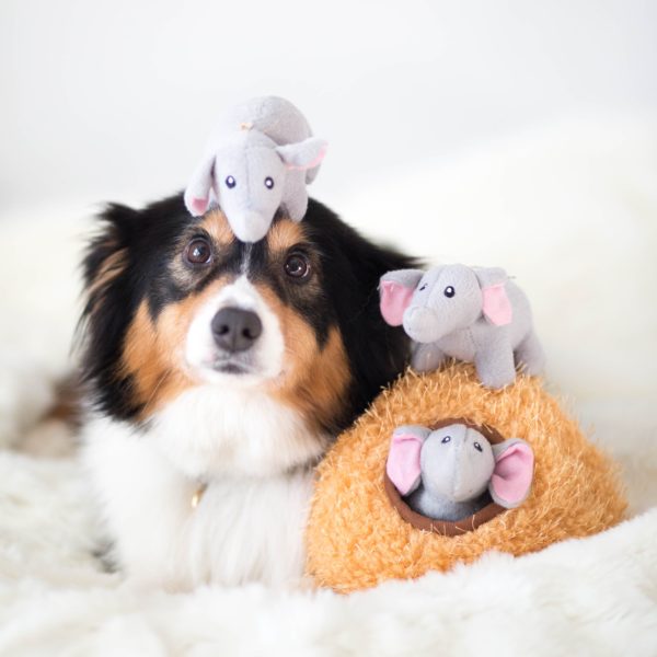 זיפי פוז - מערת פילים