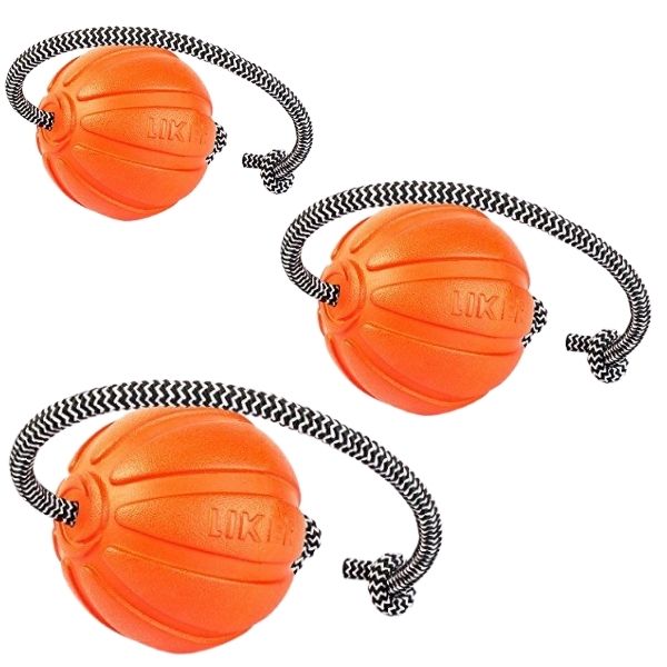 Liker - כדור ספורט עם חבל ואימון לכלבים