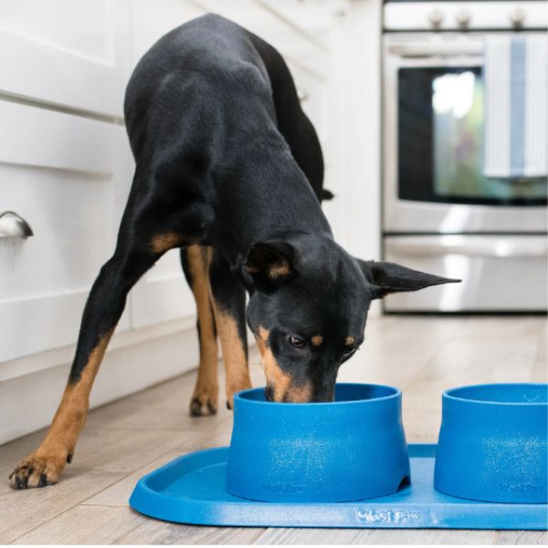 תחתית סיליקון מונעת החלקה לקערות לכלבים – West Paw Seaflex