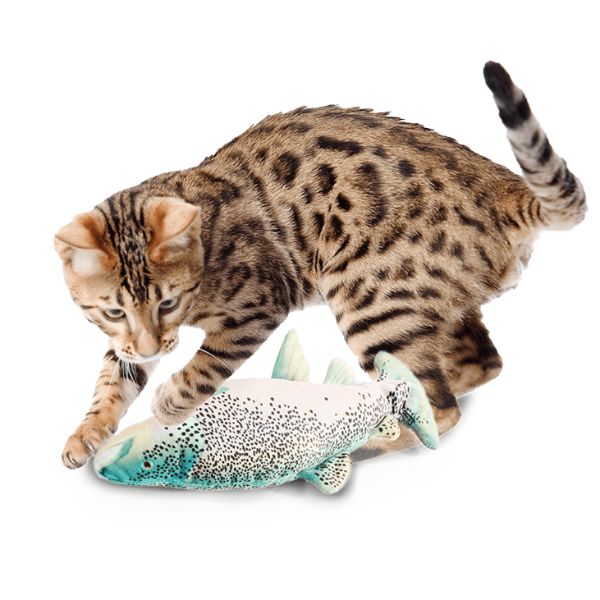 סרדין רוקד צעצוע לחתול AFP