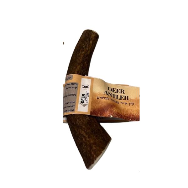 קרן אייל אדום שלמה 100% טבעי - M