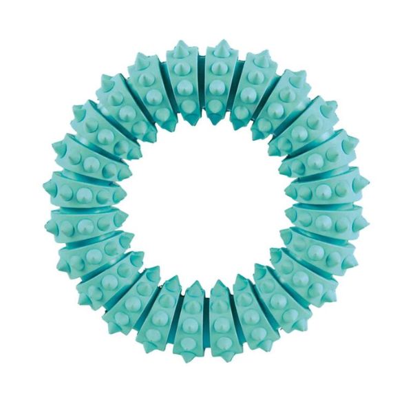 טריקסי טבעת דנטלית מנטה - 12 ס"מ