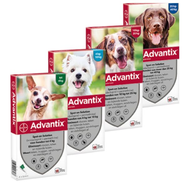 אדוונטיקס Advantix אמפולה לטיפול נגד פרעושים וקרציות לכלבים