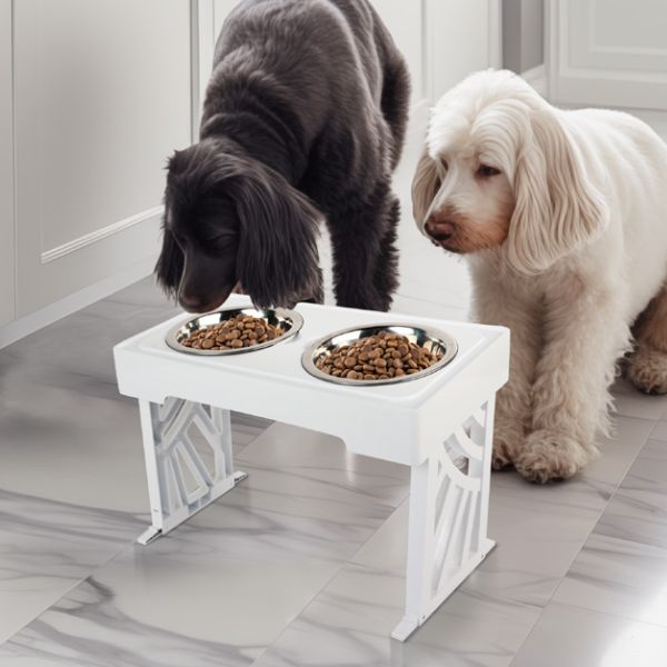 AFP קערות אוכל מודולרית לכיוון גובה בהתאם לכלב